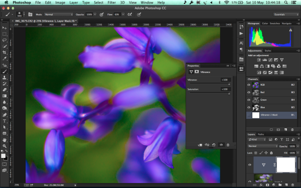 Pushing the Vibrance and Saturation sliders full-right