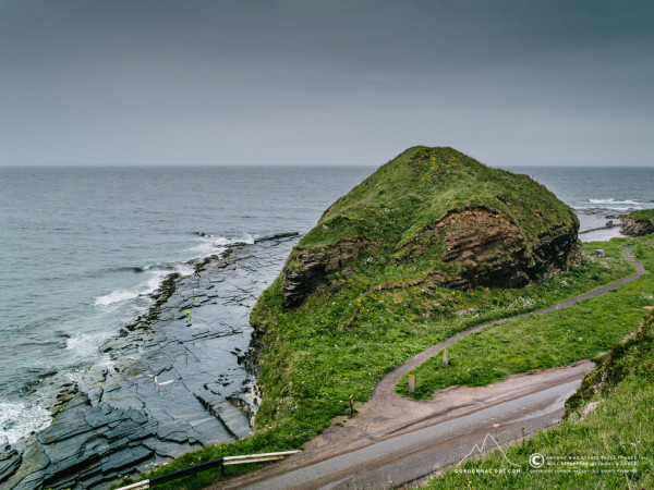 183/365 - Above the South Head (X10)