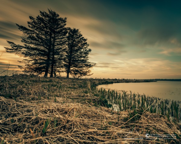 127/365 - Loch Watten