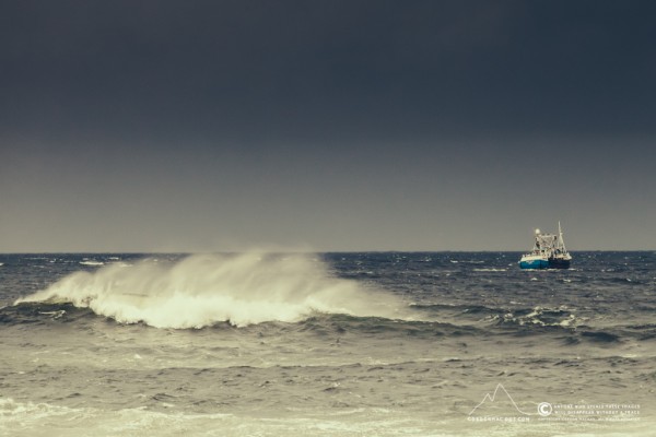 143/365 - Rois Maria (OB 48) in Wick Bay