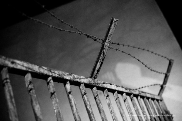 Barbed Wire