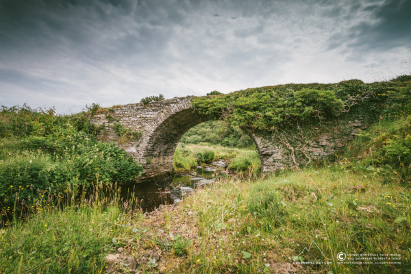 195/365 - Reisgill Burn