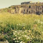 South Head Quarry