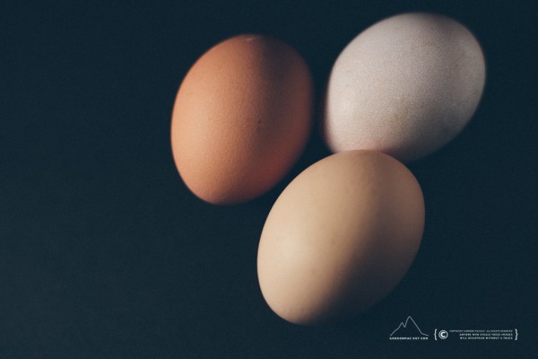 023/365 - Eggs (Sorry, stuck at home)