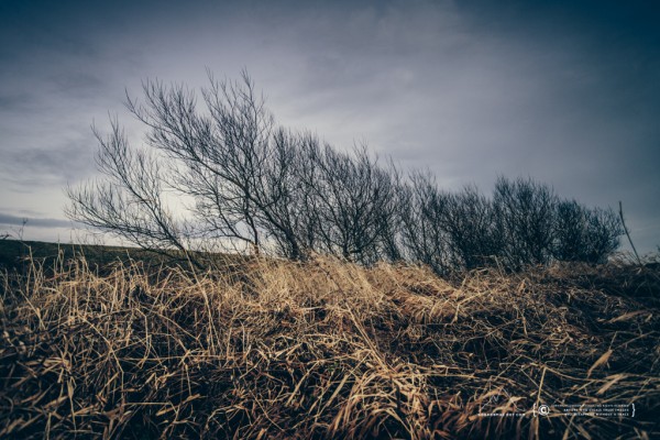 027/365 - Wick Riverside looking suitably bleak.