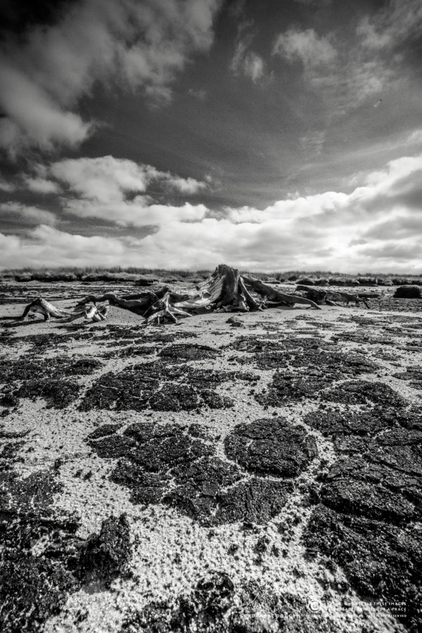 237/365 - Looking a bit arid out at Loch More today!