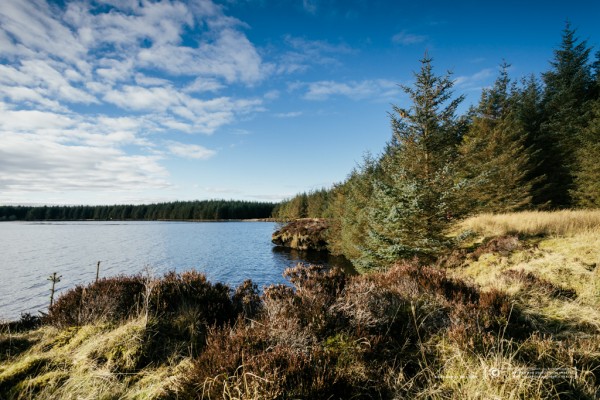 054/365 - A wander round the loch