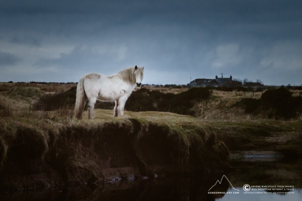 Wick River