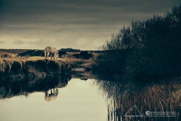 Wick River.