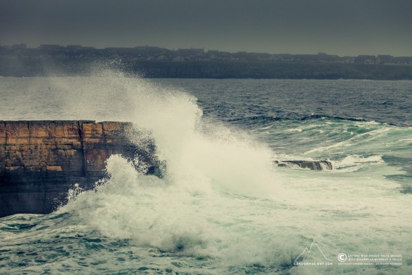 250/365 - South Head earlier this afternoon - all sunny and nice now!