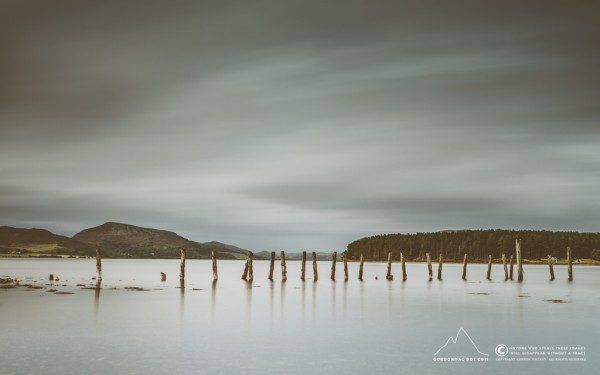 263/365 - Some more old wood in the water :)