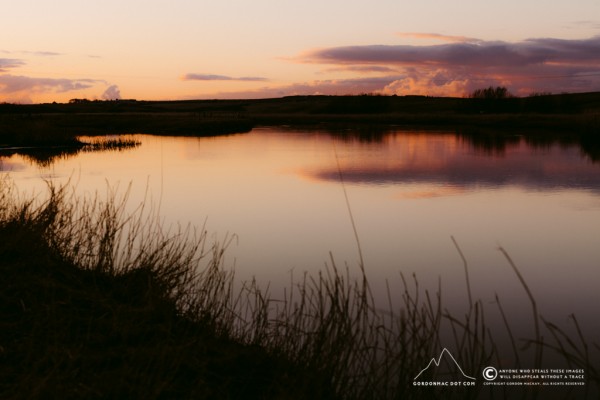 087/365 - post-sunset