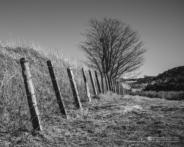 Railway embankment