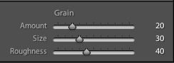 Lightroom Grain Settings