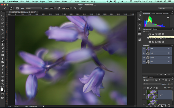 Create a new Adjustment Layer - Vibrance